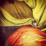November 02, 2012 at 12:21AM @Skautvg Efter att ha sovit i fast vindskydd och vedskjul typ två månader känns det lite instängt i ett 3 mans #hilleberg.. #alskarattsovaute by skogsmullen